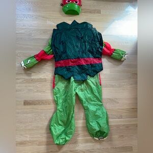 Teenage mutant ninja turtle blow-up costume with mask